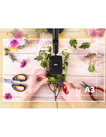 Visualizador USB para Clases Online AVerVision M5