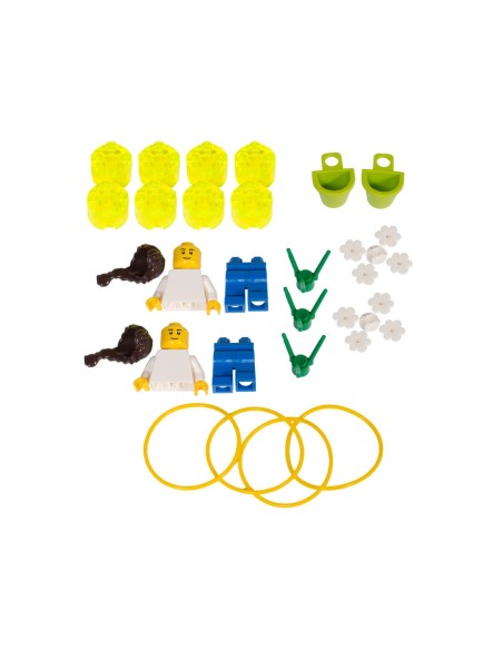 Recanvis LEGO MINDSTORMS Education Pack 4 2000703 Peces