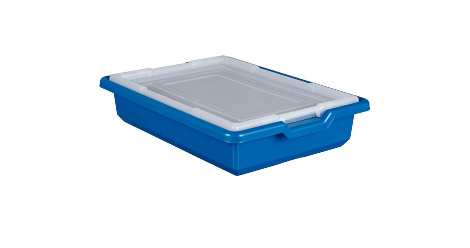Caja Almacenaje Pequeña LEGO