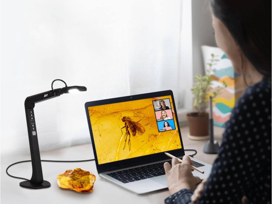 Visualizador USB para Clases Online AVerVision M5
