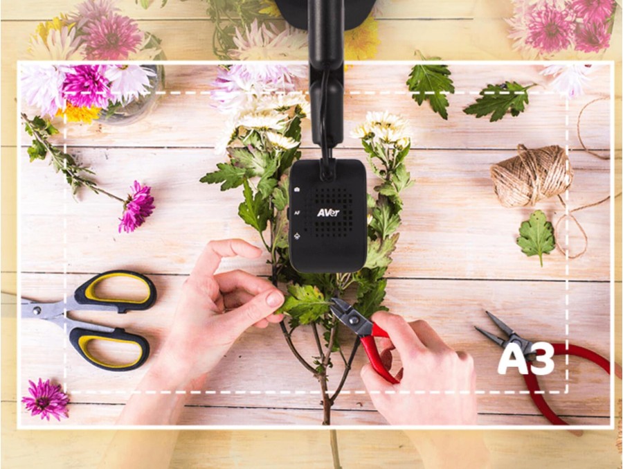 Visualizador USB para Clases Online AVerVision M5
